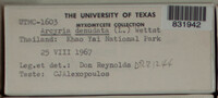Image Associated With the Occurence